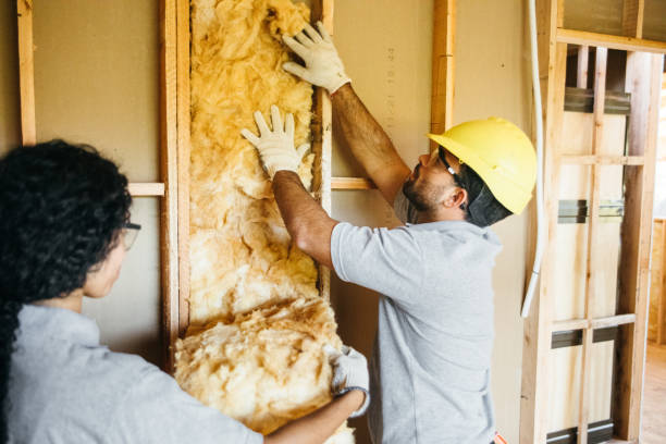 Best Radiant Barrier Insulation  in Phillips, WI